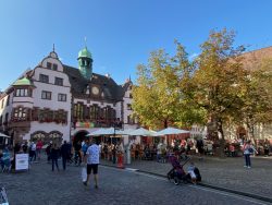 Am Rathausplatz in Freiburg