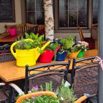 Dekorative Kannen in Überlingen