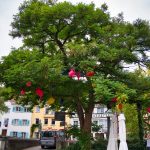 Gießkannen im Baum in Überlingen