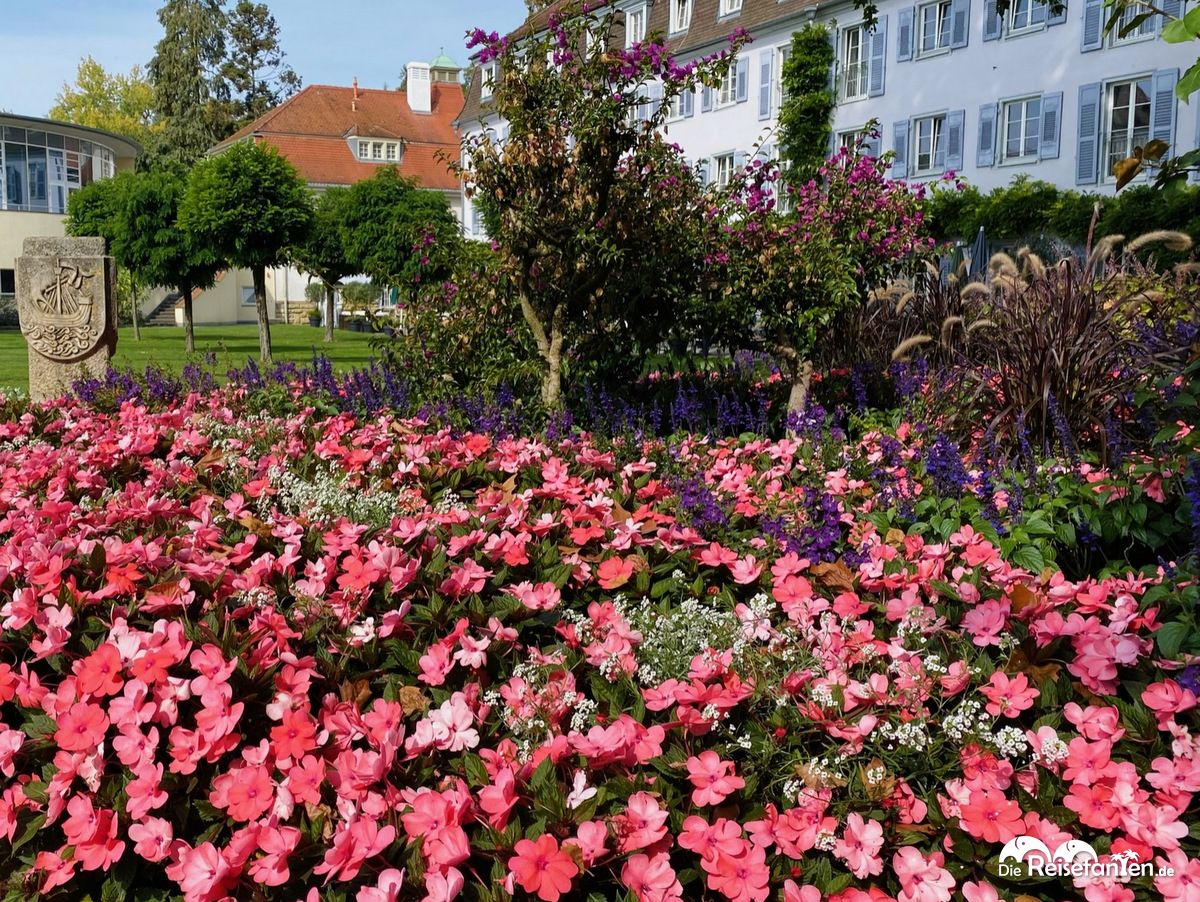 Pralles Blumenbeet in Überlingen