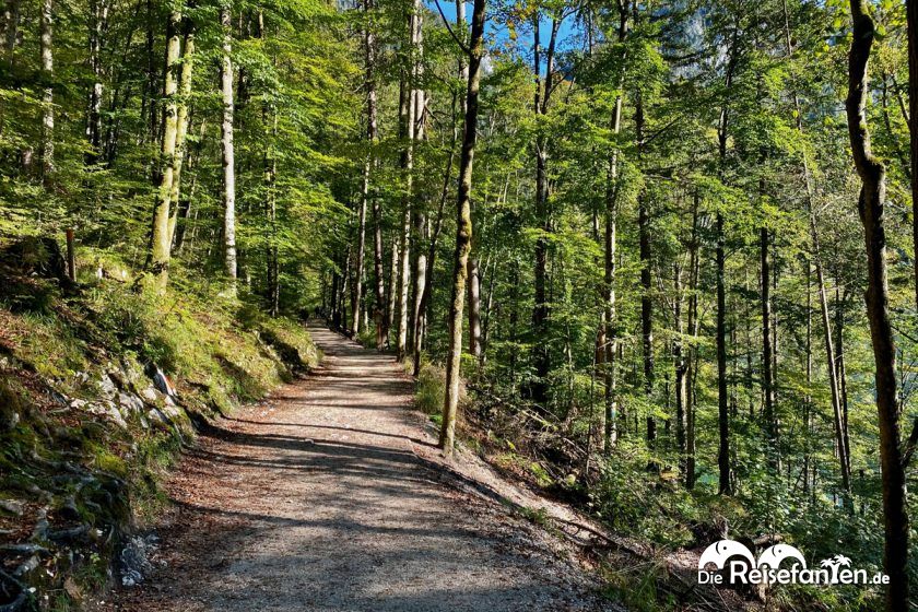 Wanderweg des Malerwinkelrundweges am Königssee