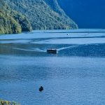 Boote auf dem Königssee