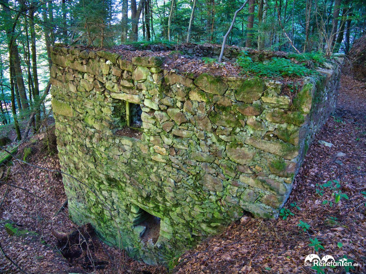 Ruine im Wald