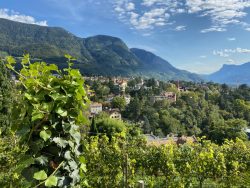 Ausblick vom Tappeinerweg auf Meran