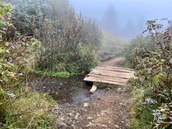 Bachüberquerung entlang des Wanderweges auf der Seiser Alm in Südtirol