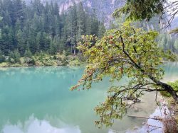 Farbkontraste am Prager Wildsee in Südtirol
