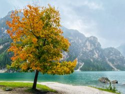 Indian Summer am Prager Wildsee in Südtirol
