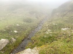 Kleiner Wasserlauf im Nebel auf der Seiser Alm in Südtirol