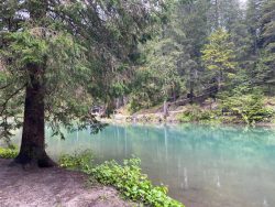 Mit ein bisschen Sonne leuchtet der Prager Wildsee in Südtirol türkis