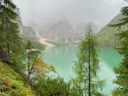 Nebeliger Prager Wildsee in Südtirol