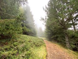 Wanderweg auf der Seiser Alm