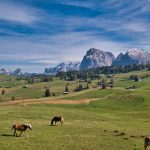 Schönes Bergpanorama auf der Seiser Alm