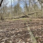 Der Weg war manchmal schon etwas abenteuerlich