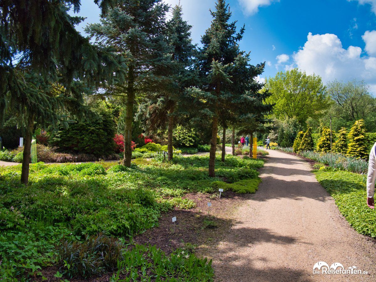 Weite Wege im Park der Gärten