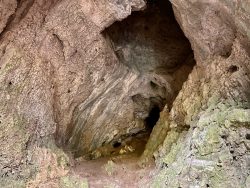 Einblick in die Riesenburg in Wiesenttal