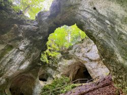 Höhlenblick in der Riesenburg in Wiesenttal