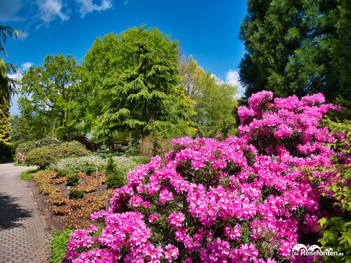 Impressionen aus dem Park der Gärten 14