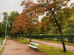 Sitzbank am Prinzenteich in Eisenach