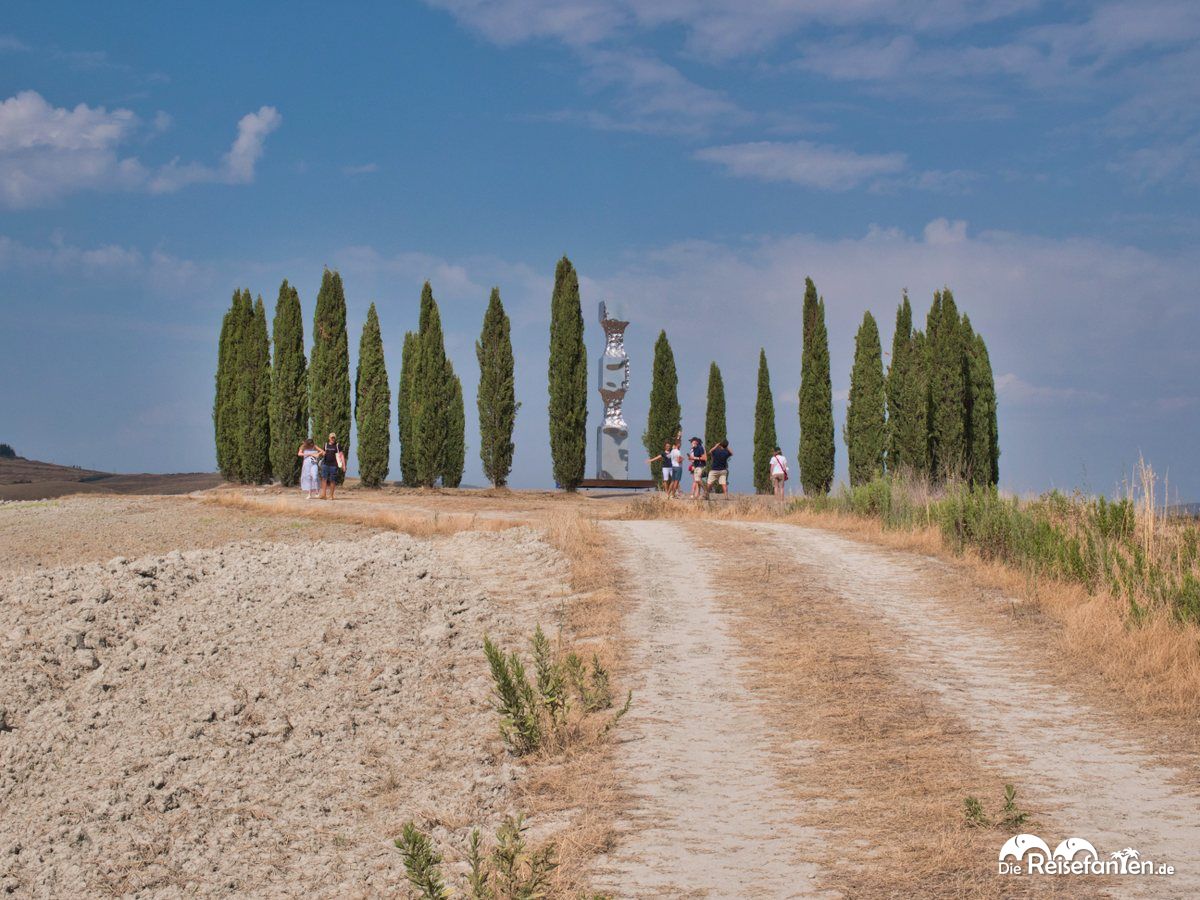 Die Zypressen von San Quirico d’Orcia sind ein beliebtes Fotomotiv