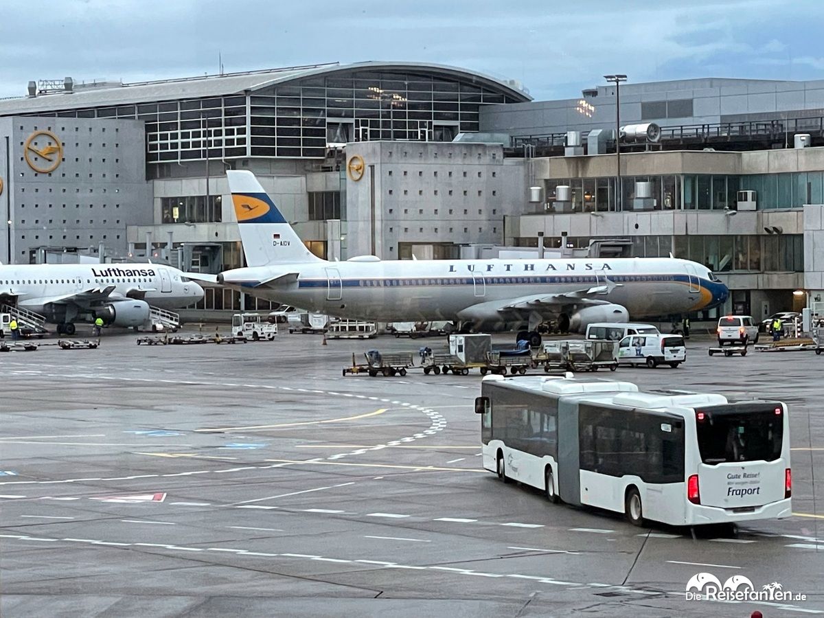Eine Maschine der Lufthansa am Flughafen Frankfurt