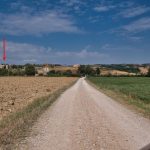 Hier befinden sich die Zypressen