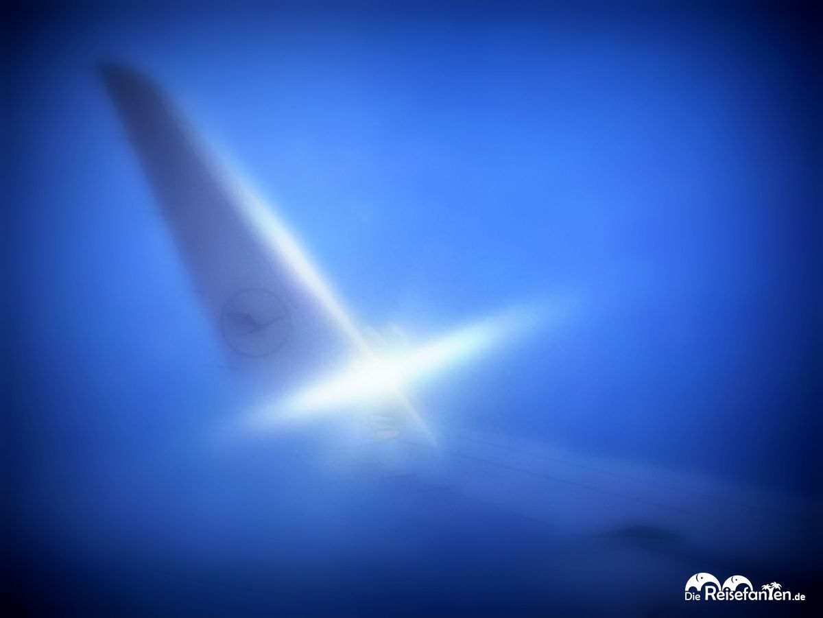 Logo am Flügel einer Lufthansa Maschine