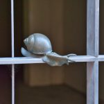 Weitere Impression aus Siena 10