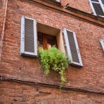 Weitere Impression aus Siena 2