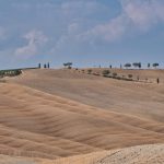 Wie Wellen zeigt sich hier die toskanische Landschaft