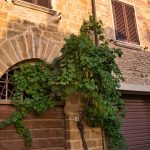 Wein am Haus in Montepulciano