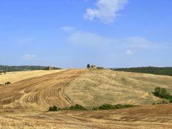 Erntezeit im Val d'Orcia in der Toskana