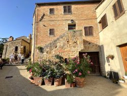 Häuserfassade mit Blumen in Pienza