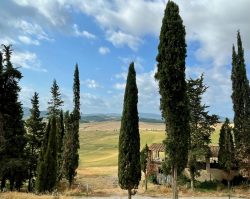Toller Blick in die Landschaft der Toskana vom Tenuta di Mensanello