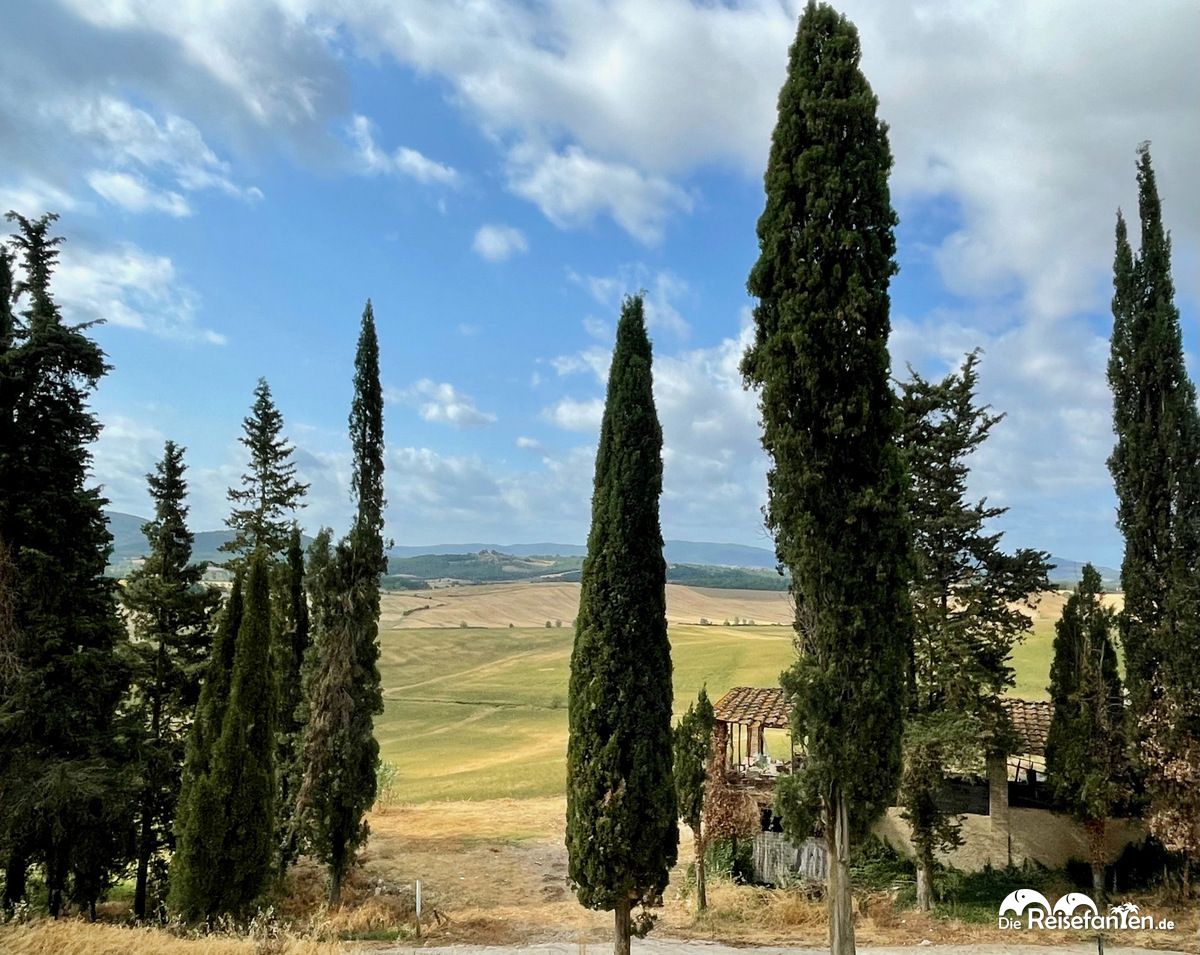 Toller Blick in die Landschaft der Toskana vom Tenuta di Mensanello