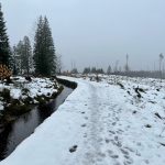 Wanderung auf dem Sperberhaier Damm im Harz im Winter 07