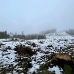 Wanderung auf dem Sperberhaier Damm im Harz im Winter 08