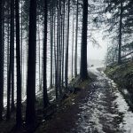 Wanderung auf dem Sperberhaier Damm im Harz im Winter 11