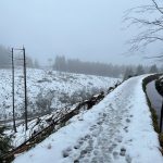 Wanderung auf dem Sperberhaier Damm im Harz im Winter 12