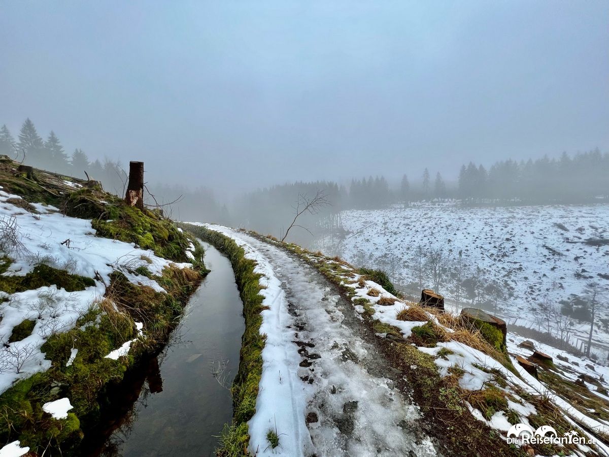 Wanderung auf dem Sperberhaier Damm im Harz im Winter 13