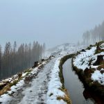 Wanderung auf dem Sperberhaier Damm im Harz im Winter 14