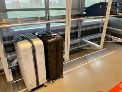 Großzügige Gepäckfächer im Leonardo Express