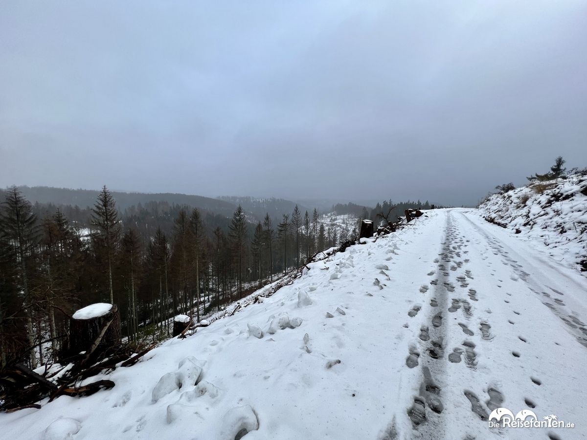 Rund um den Ebersberg im Harz 07