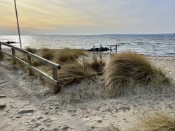 Bewachsener Strand in Neustadt in Holstein