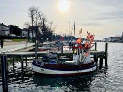 Kleines Fischerboot im Hafen von Neustadt in Holstein