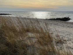 Strandhafer Meerblick in Neustadt in Holstein