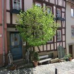 Ein Besuch in Bad Wimpfen 06