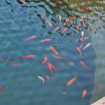 Forum Romanum in Rom 10