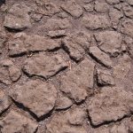Forum Romanum in Rom 36