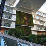 Der Central Park an Bord der Harmony of the Seas 08