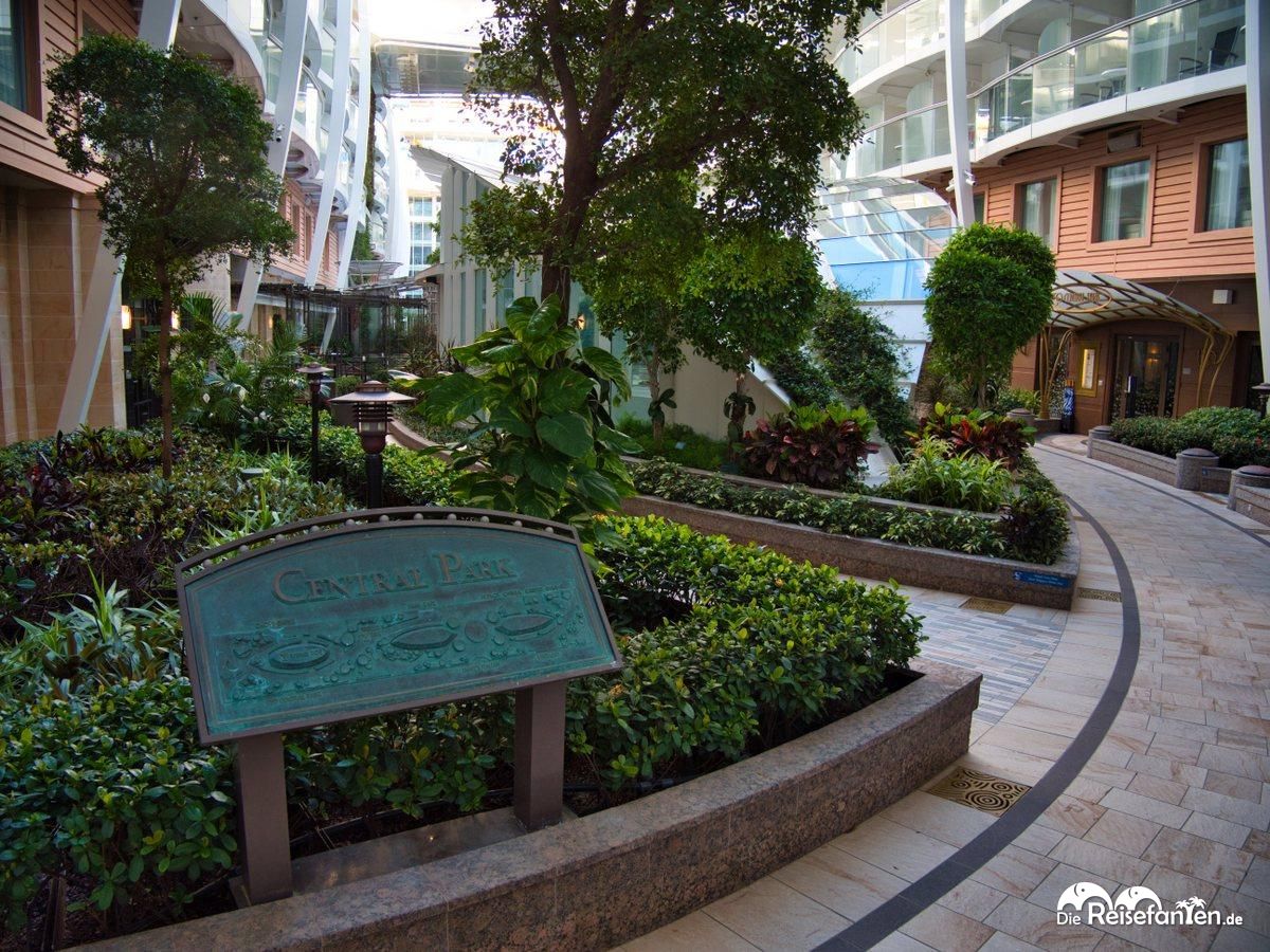 Der Central Park an Bord der Harmony of the Seas 12